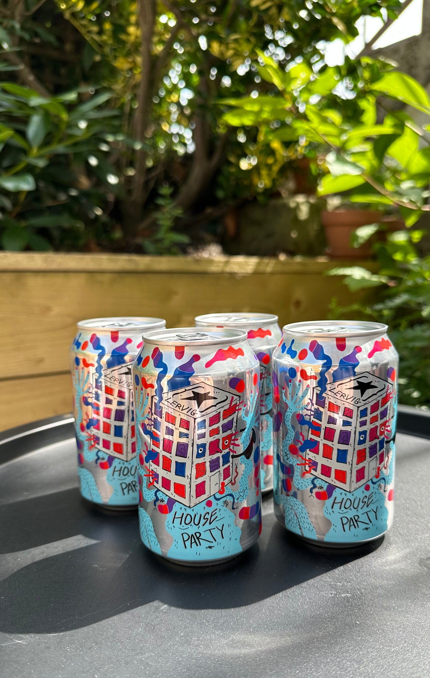 Ultimate Summer BBQ Beer Box Set