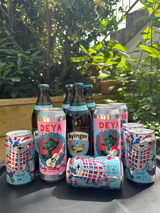 Ultimate Summer BBQ Beer Box Set